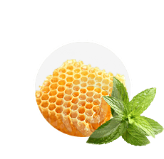 Мёд и пчелопродукты